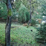בית נופש Boroka Apartmanhazak - Oereghaz ולם