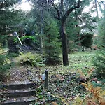Boroka Apartmanhazak - Oereghaz