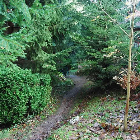 بيت للعطل Boroka Apartmanhazak - Oereghaz