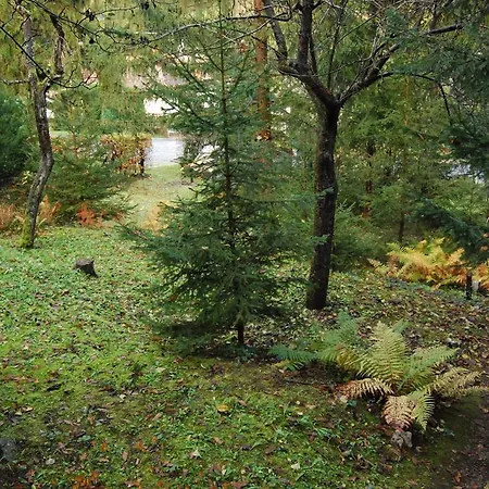Boróka - öregház Velem