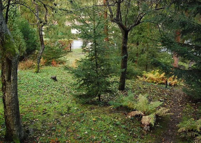 Boroka Apartmanhazak - Oereghaz فيليم