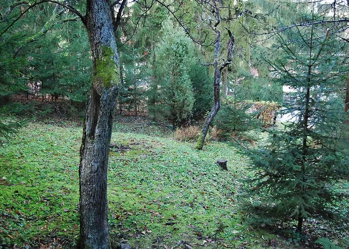 بيت للعطل Boroka Apartmanhazak - Oereghaz فيليم